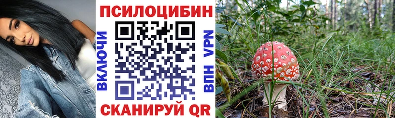 Псилоцибиновые грибы Psilocybine cubensis  ссылка на мегу маркетплейс  Родники 